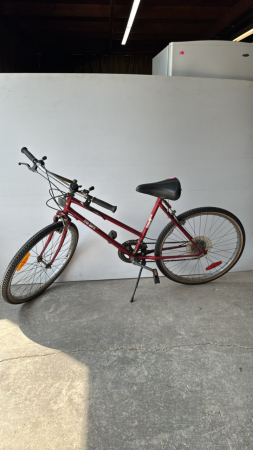 Free Spirit 12 Speed Womens Bicycle