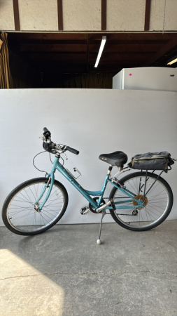 Raleigh Womens 16in Bicycle