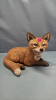 Fox Pottery Figurine