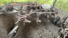 3 FURROW TRAIL PLOW - 2