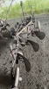 3 FURROW TRAIL PLOW - 3