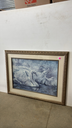 Framed Swan Print