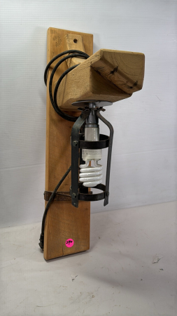 Wall Mount Light Fixture