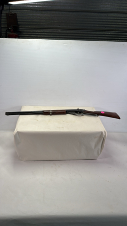 Daisy BB Gun