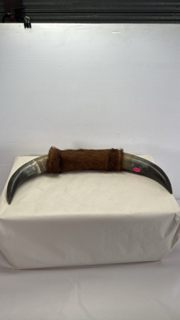 23in Wide Set of Wall Mount Bull Horns