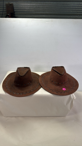(2) Felt Mens Hats