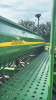 JOHN DEERE 1590 15FT SEED DRILL - 14