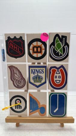 (14) Hockey Team Logo Push Outs