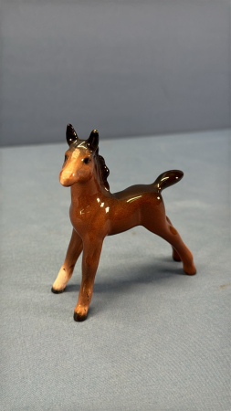 Beswick Bay Foal