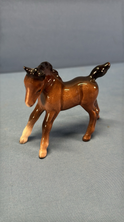 Beswick Bay Foal