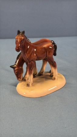 (2) Foals