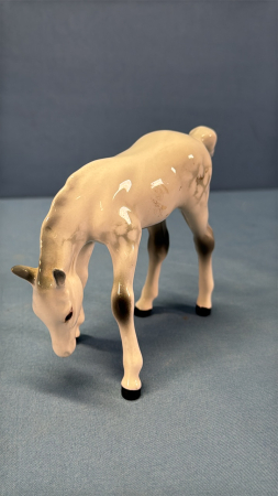 Beswick Dapple Grey Foal Grazing