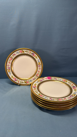 (6) Limoges 9.5in Plates