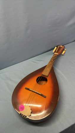 Eko Mandolin 8 String