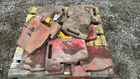 10 Massey Suitcase Weights