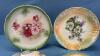 (4) German Colourful Plates - 2