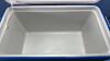 Coleman Cooler - 4
