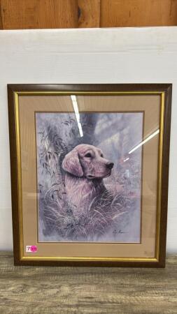 Golden Retereiver Print by Ruane Manning