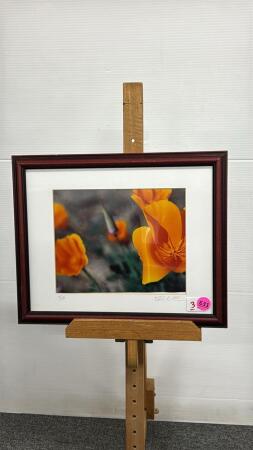 Floral Numbered Print