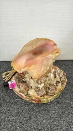 Shell Lamp