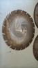 3- 12in Table Saw Blades - 2