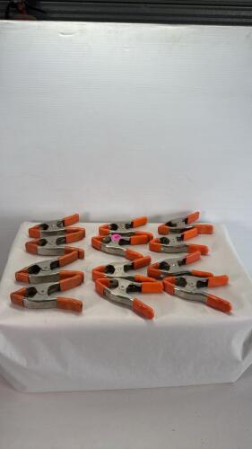 (12) Pairs of Squeeze Clamps
