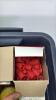 Electrical Lot in Plastic Tote w/lid - 9