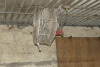 30in Electric Barn Fan - 2