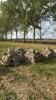 LOT OF 5 SKIDS OF LANDSCAPE BLOCKS
