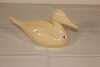 Northern Pottery Duck (Chapleau On.)