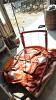 1974 Allis Chalmers 175 Gas Tractor - 24
