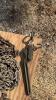 Lot of Heavy and Light Chain