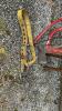Axe, 2 saws, pruner, safety belt - 4
