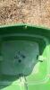 Scott&rsquo;s Easy Green Grass Seeder - 5