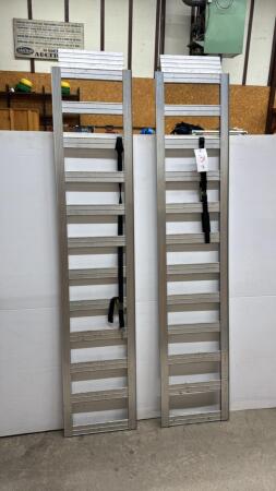 PAIR OF REESE RAMPS