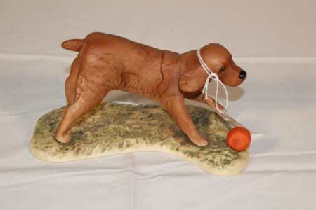 Goebel Dog