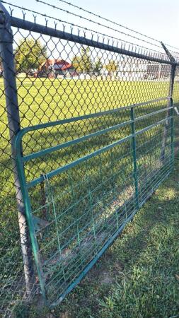 10FT LIVESTOCK GATE