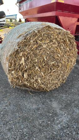 42 ROUND BALES OF CORN STALKS