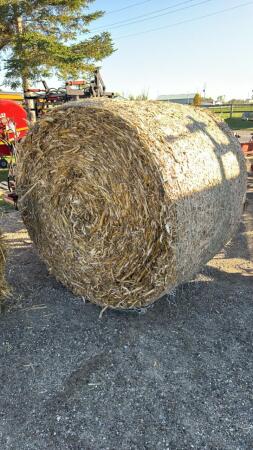 25 ROUND OF BALES OF CHOPPED CORN STALKS