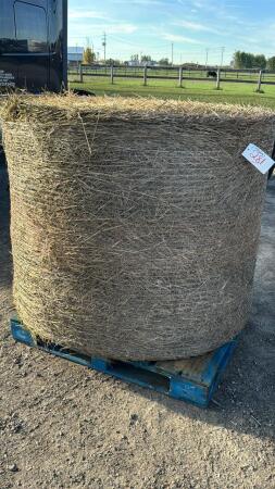 50 ROUND BALES OF 1ST CUT 2025 HAY
