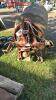 3PTH TEAGLE CEMENT MIXER - 4