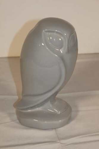 Northern Potter Owl (Chapleau On.)
