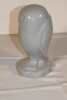 Northern Potter Owl (Chapleau On.) - 2