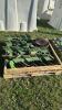 (24) NO TILL COULTERS FOR JOHN DEERE PLANTER