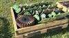 (24) NO TILL COULTERS FOR JOHN DEERE PLANTER - 6
