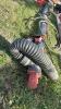 11FT METAL FERTILIZER AUGER - 3