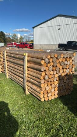 (122) 10FT 3IN CEDAR POSTS