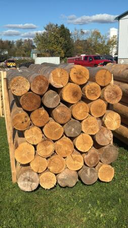 (35) 8FT 7IN CEDAR POSTS
