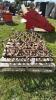 3 SECTION OF OLDER DIAMOND HARROW - 3