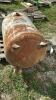 UPRIGHT COMPRESSOR - 4